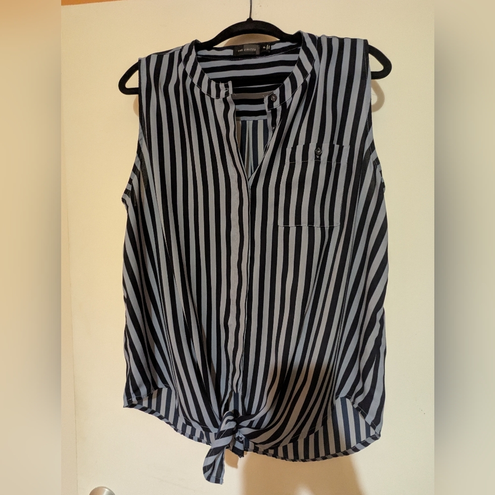 The Limited Blue And Light Blue Striped Sleeveless Blouse with Mandarin Collar